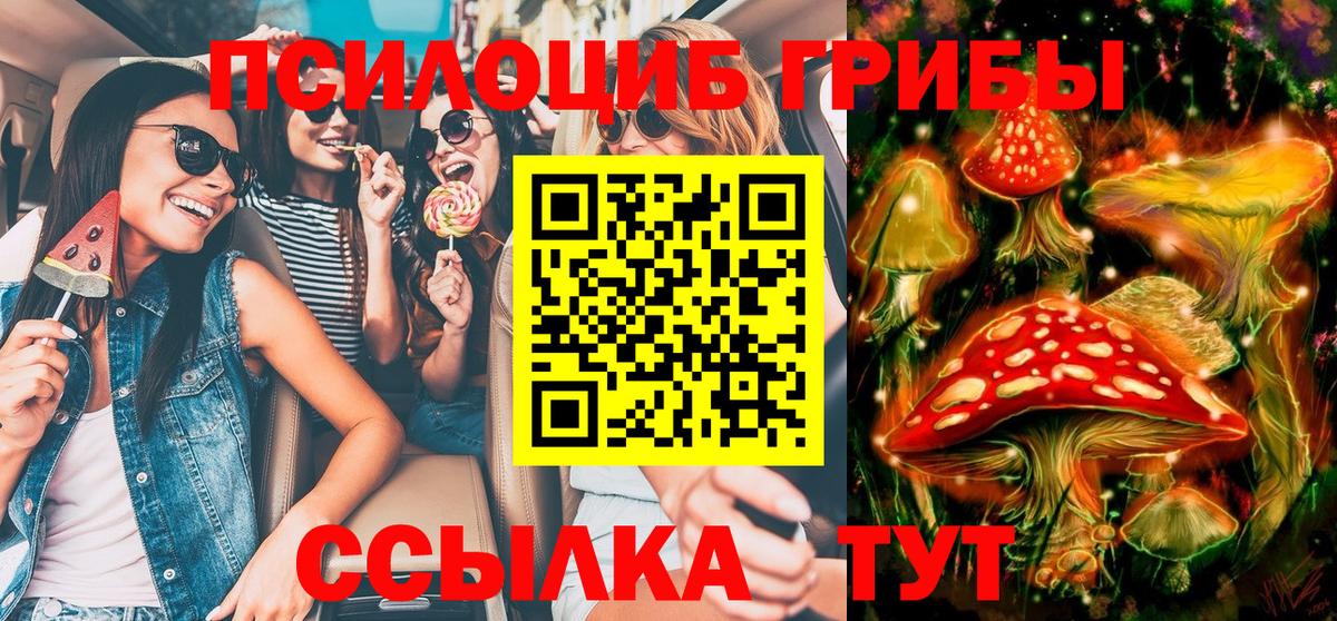 Галлюциногенные грибы MAGIC MUSHROOMS Вышний Волочёк