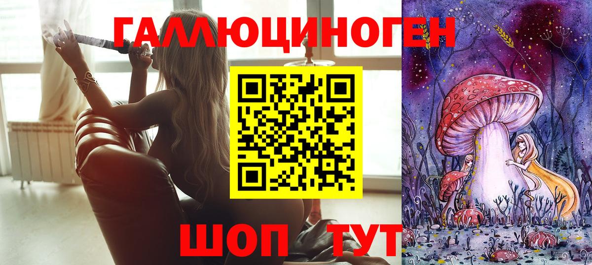 Вышний Волочёк  Галлюциногенные грибы Psilocybe  Вход с VPN 