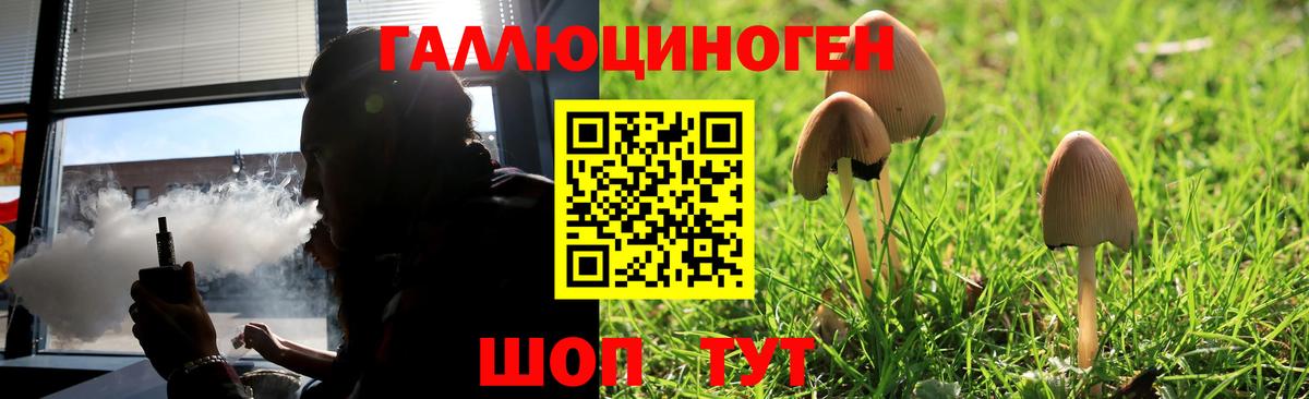 Галлюциногенные грибы мухоморы  Вышний Волочёк 